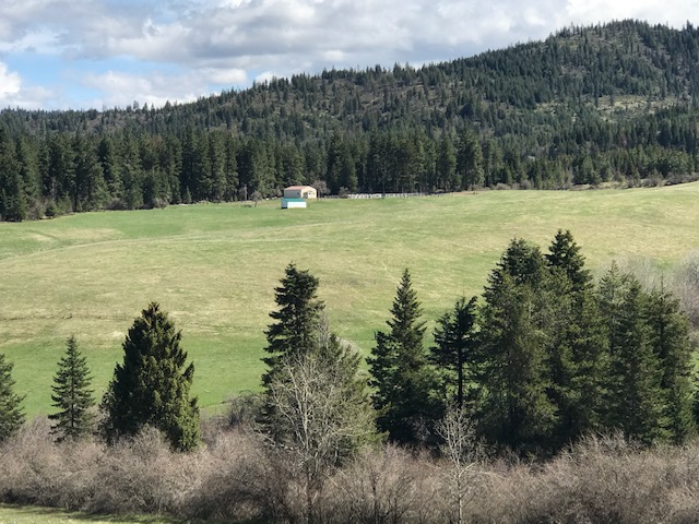 A Rare Private 120 Acres in North Idaho - Acres Idaho