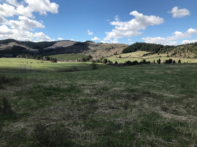 A Rare Private 120 Acres in North Idaho - Acres Idaho