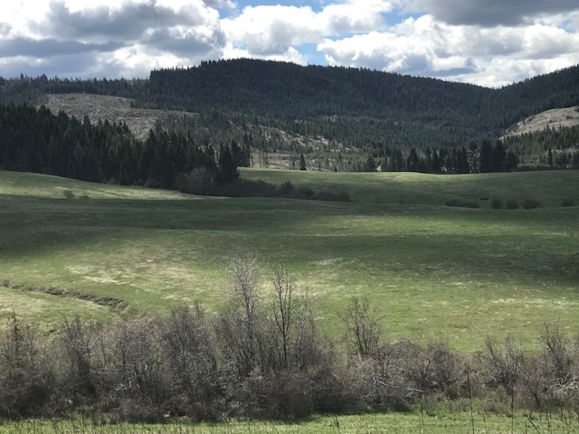 Acres Idaho: Call Jason Hicks at (208) 935-5339